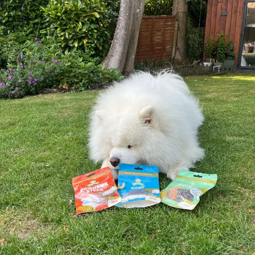 Chef Woof Dog Gift Treat Box Chef Woof | Dog Treats for hospitality