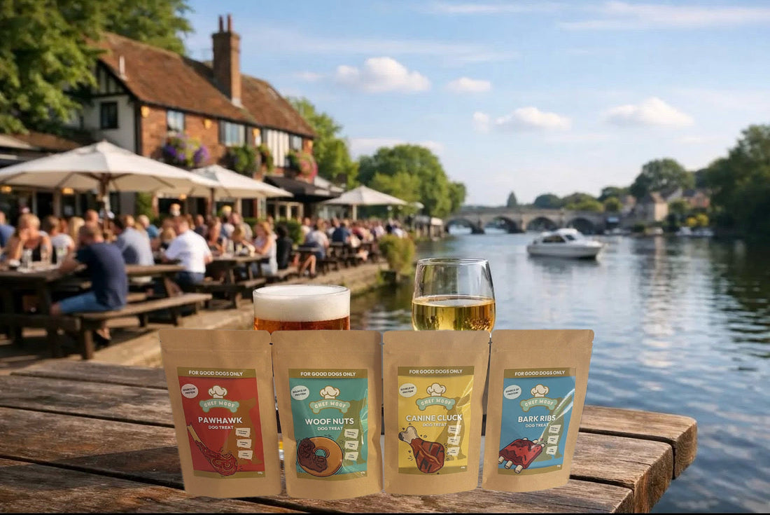 Point of Sale Dog Treats: Boosting Impulse Sales at the Bar