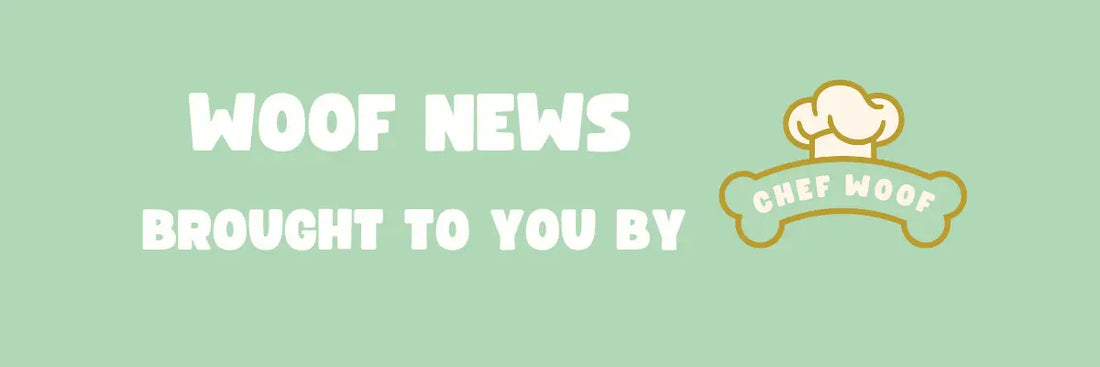 Why Do Dogs Eat Grass? | Chef Woof Chef Woof | Dog Treats for hospitality