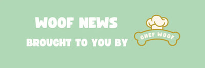 Black Friday Natural Dog Treat Sale | Huge Savings Chef Woof | Dog Treats for hospitality