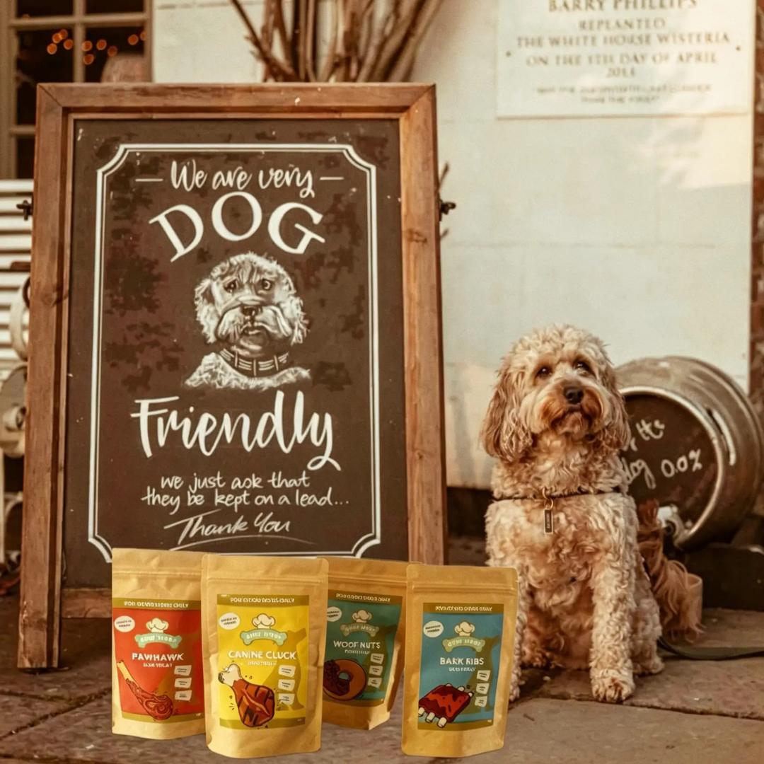 Best Natural Training Treats for Puppies in the UK