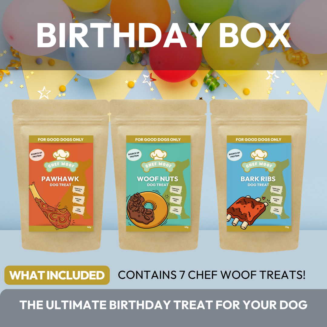Dog Birthday Box
