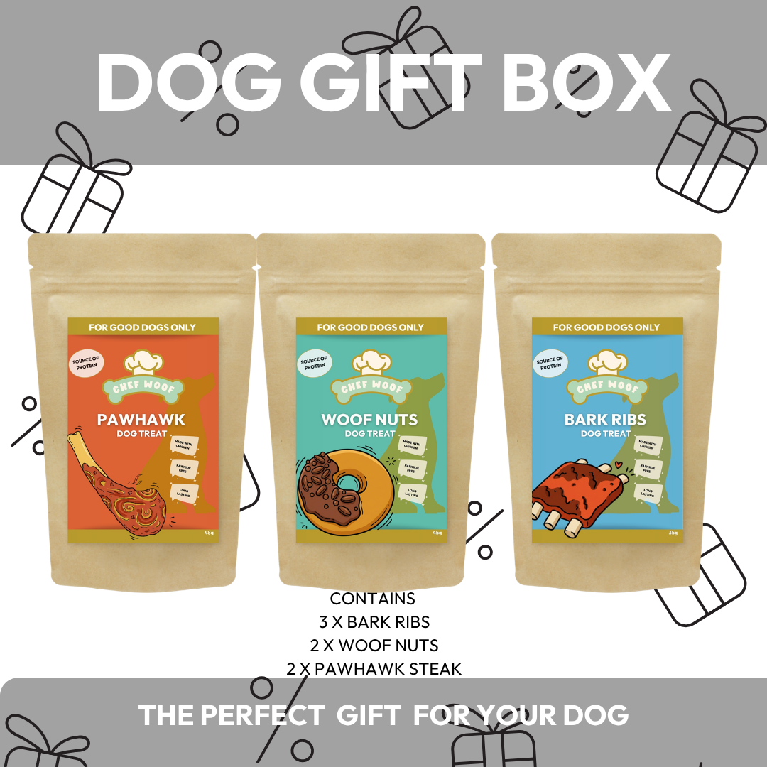 Dog Gift Box