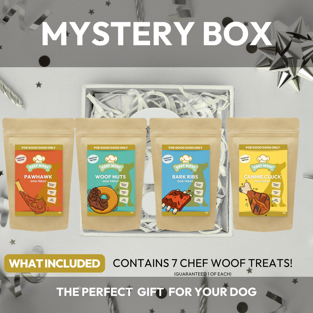 Dog Mystery Box