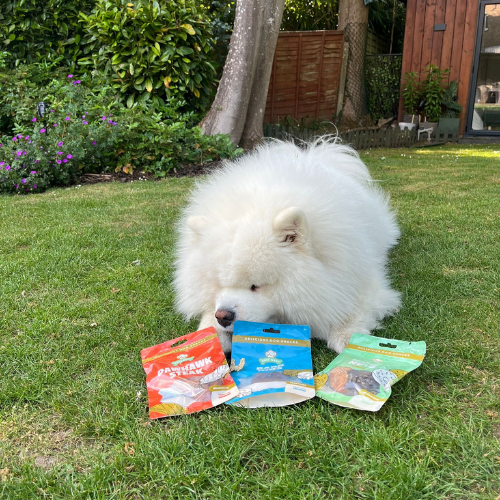 Chef Woof Birthday Dog Treat Box