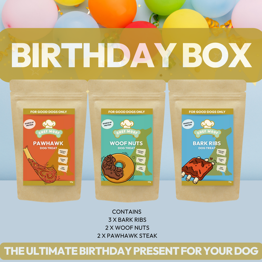 Dog Birthday Box