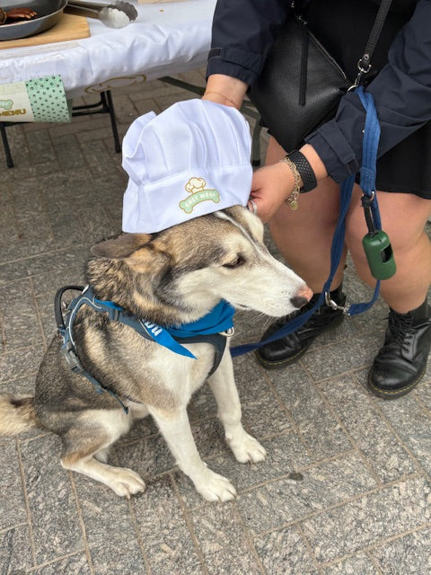 Chef Woof dog treats at venue