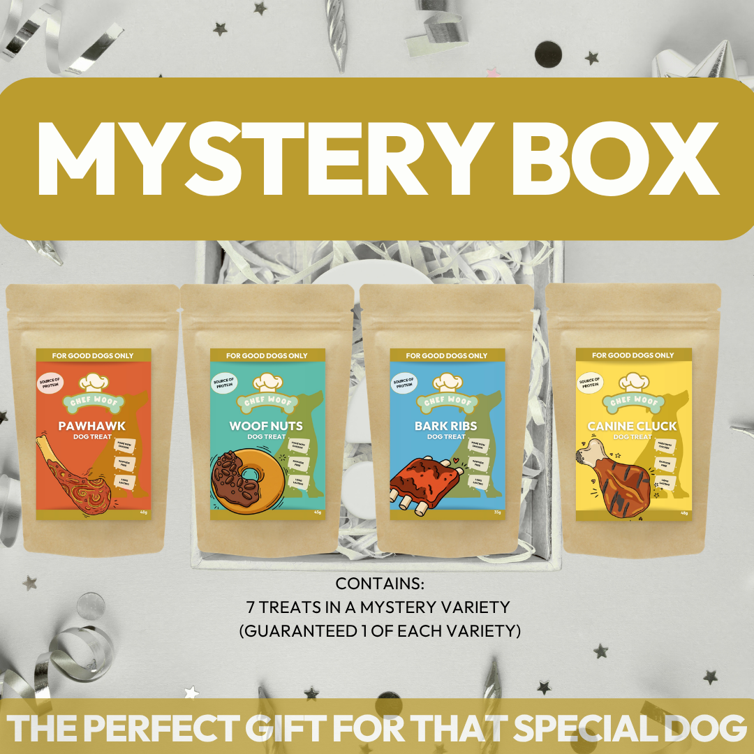 Dog Mystery Box